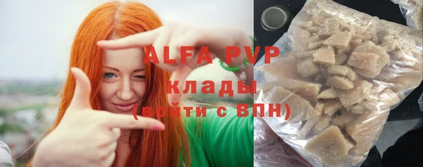 индика Арсеньев
