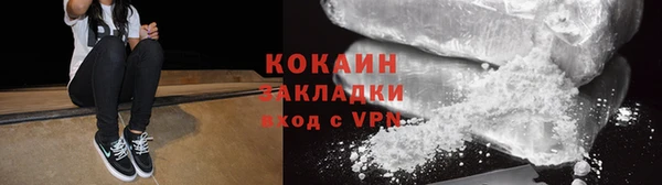 индика Арсеньев