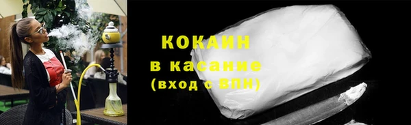 индика Арсеньев
