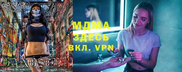 индика Арсеньев