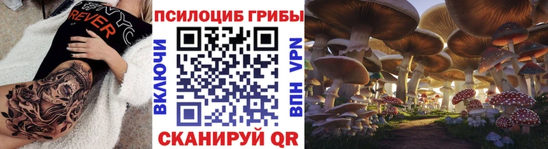 Галлюциногенные грибы мухоморы  дарнет шоп  omg маркетплейс  Приморск 